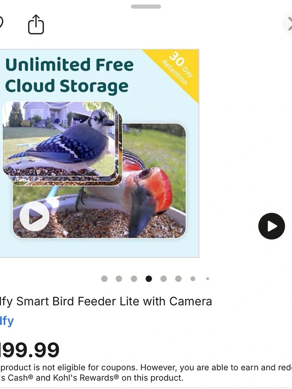 Birdfy Smart Bird Feeder Camera AI Recognition
